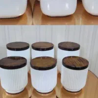 قالب سیلیکونی