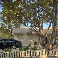 اجاره روزانه باغ فاروق