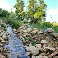 منزل ویلایی کنارچشمه وپیست اسکی|اجارهٔ خانه و ویلا|داران, |دیوار