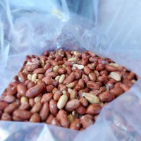 بادام زمینی برشته شده|عمده‌فروشی|مشگین شهر, |دیوار