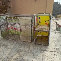 قفس کبوتر پرنده|لوازم جانبی حیوانات|شاهرود, |دیوار