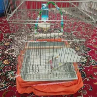 قفس پرنده با تمام امکانات