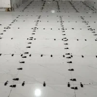 نصب کارهای کاشی و سرامیک|خدمات پیشه و مهارت|نورآباد, |دیوار