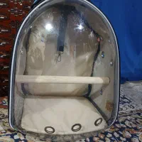 کیف عروس هلندی سالم نو|لوازم جانبی حیوانات|شیراز, وزیرآباد|دیوار