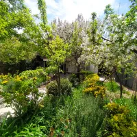 ۵۵۸متر باغ ویلا گیلاوند