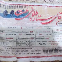 فرش  12درجه یک 500شانه|فرش|صدرا-فارس, فاز ۱|دیوار