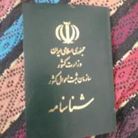 شناسنامه سید محمد آیدین عبدالکریمی پیدا شده