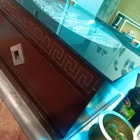 جاقاشقی