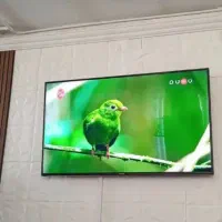 تلویزیون هوشمند سامسونگ