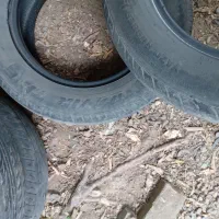 لاستیک|قطعات یدکی و لوازم جانبی|لاهیجان, بازکیاگوراب|دیوار