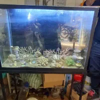 آکواریوم بزرگ همراه پمپ