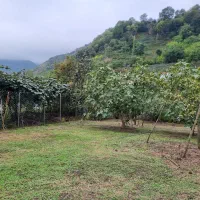 زمین با کاربری مسکونی ۴۰۳متر در نصرت آباد|فروش زمین و ملک کلنگی|حویق, |دیوار