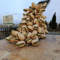 پسته و خشکبار صددروازه