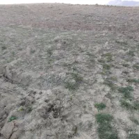 فروش زمین دیم فلارد|فروش زمین و ملک کلنگی|فلارد, |دیوار