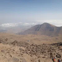 تجاری شبرنگ