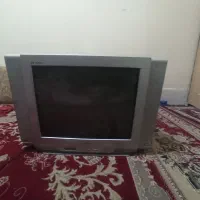 تلوزیون