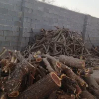 خریدار چوب وقطع درخت|خدمات باغبانی و درختکاری|فسا, |دیوار