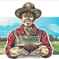 کود گیاهی ارگانیک، افزایش تناژ، کاهش آبیاری