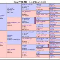نریون دو سر عرب|اسب و تجهیزات اسب‌سواری|اراک, |دیوار