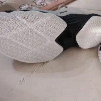 کفش 361|کیف، کفش، کمربند|شیراز, کلاهدوز|دیوار