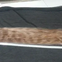 موی ۹۰ سانت بلوند