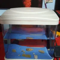 آکواریوم شرکتی ماهیران با نور سه حالته و فیلتر|ماهی|تهران, امانیه|دیوار