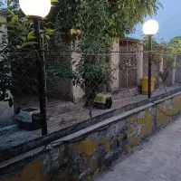 پانسیون سگ|لوازم جانبی حیوانات|ارطه, |دیوار