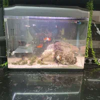 فروش اکواریوم شرکتی ۶۰ سانت