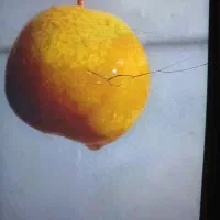 خوج جنگلی خوشمزه درجه یک آلوچه آلبالو ازگیل و..