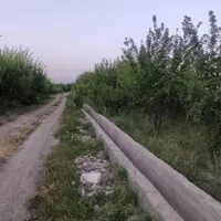 فروش زمین ۴۴۰ متری در هشتگرد