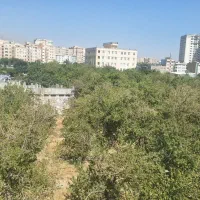 آپارتمان ۷۰ متری یک خواب سند اداری دانش بنیان