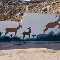 رنگ آمیزی و رنگ کاری ساختمان مدرن