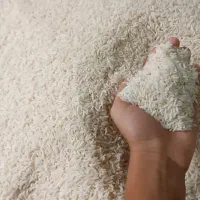 برنج طارم هاشمی. خوش بو خوش عطر80کیلو