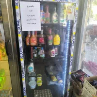 یخچال و لوازم پروتئینی|فروشگاه و مغازه|شهرکرد, |دیوار