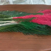 میزعسلی وجلو مبلی شیک