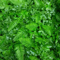 چمن مصنوعی  و دیوار سبز و سایبان  استخرها(شید)|مصالح و تجهیزات ساختمان|دزفول, |دیوار