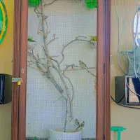 قفس برای انواع پرنده گان