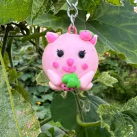 جاسوییچی و دکوری