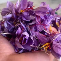خرید زعفران با کیفیت برای شما دوستان عزیز|حراج|مشهد, ابرغن|دیوار