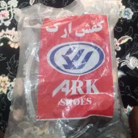 کفش ایمنی