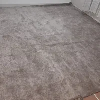 پالاز موکت|موکت|کرمانشاه, |دیوار