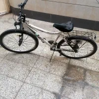 دوچرخه مدل 24