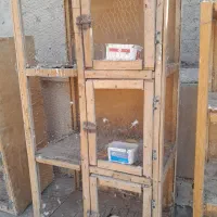 ۵ عدد جفت کنی کبوتر و ۲ عدد قفس قناری فروشی با هم