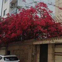 پیش فروش آپارتمان مسکونی گلسار