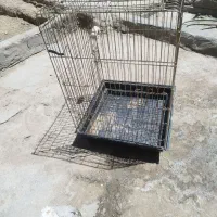 قفس