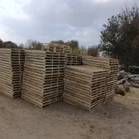 تولید پالت چوبی بصورت عمده