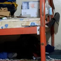 فروش لوازم خانگی|تخت و سرویس خواب|زابل, |دیوار