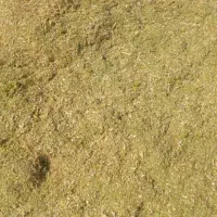 کاه لوبیا|حیوانات مزرعه|سده (فارس), |دیوار