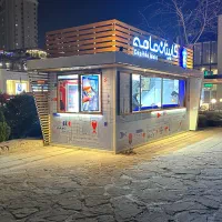 نیروی برای مجموعه کاپیتان ماهی ( آقا و خانم)