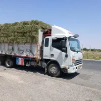فروش یونجه پربرگ و خشک